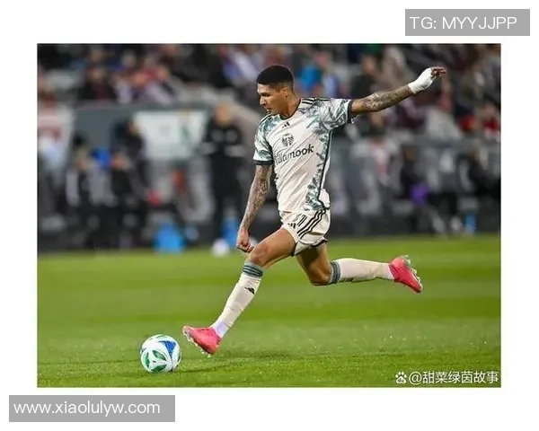 圣何塞对阵波特兰比赛结果分析及精彩瞬间回顾